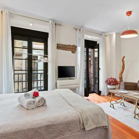 Loft Corazon Catedral